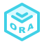 Oracle Ins Parameter Icon, Oracle,parameter