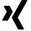 Xing2 Icon, network,xing