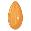 Almond Icon, almond,nut