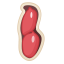 Peanut Icon, nut,peanut