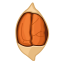 Pecan Icon, nut,pecan