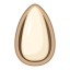 Pine Nut Icon, pine nut,nut