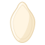 Pumpkin Seeds Icon, pumpkin seeds,snack