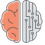 Brain Simulation Icon, brain,brain simulation,computer