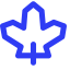 Maple Leaf Icon, leaf,maple,nature