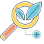 Organic Search Icon with Magnifying Glass and Leaf Icon, leaf,magnifying glass,organic search