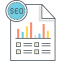 SEO Report Icon, SEO report,analytics
