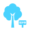 Famous Ancient Trees Icon, trees,ancient