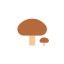 Mushroom Icon, fungus,mushroom
