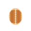 Paper - skinned Walnut Icon, nut,walnut