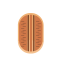 Pecan Icon, nut,pecan