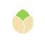 Pistachio Icon, nut,pistachio