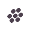 Raisin Icon, dried fruit,raisin