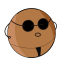 Macadamia Nut Icon, macadamia nut,nut