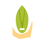 Cartoon Pistachio Icon, cartoon nut,nut,pistachio