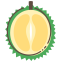 Durian Icon, durian,fruit,green