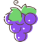 Grape Icon, grape,fruit,purple