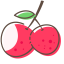 Litchi Icon, litchi,fruit,red