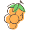 Longan Icon, longan,fruit,orange