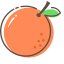 Orange Icon, orange,fruit,orange color