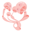 Pink Flammulina Icon, flammulina,mushroom,pink flammulina