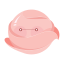Pink Macadamia Icon, macadamia,nut,pink macadamia