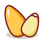 Pine Nut Icon, pine nut,nut