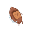 Cartoon Pecan Icon, cartoon nut,pecan