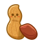 Peanut Icon, nut,peanut