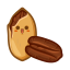 Pecan Icon, nut,pecan