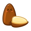 Pine Nut Icon, pine nut,nut