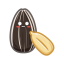 Sunflower Seed Icon, sunflower seed,seed