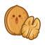 Walnut Icon, walnut,nut