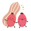 Cartoon Peanut Icon, cartoon,peanut,snack