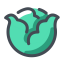 Cabbage Icon, cabbage,vegetable