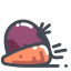 Carrot Vegetable Icon, carrot,vegetable
