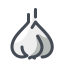 Garlic Icon, garlic,vegetable