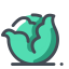 Vegetable Icon, leafy,vegetable