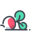 Water Radish Vegetable Icon, vegetable,water radish