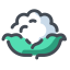 White Cauliflower Icon, cauliflower,vegetable
