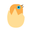 Hatching Egg Animal Icon, egg,hatch,animal