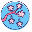 Sakura Snow Icon, cherry blossom,sakura snow,winter