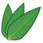 Bamboo Leaves Icon, bamboo leaves,zongzi,food