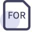 FOR File Extension Icon, FOR,FORTRAN,code