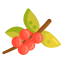 Coffee Tree Icon, coffee fruits,coffee tree