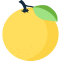 Grapefruit Icon, fruit,grapefruit