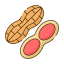 Peanut Icon, nut,peanut