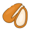 Pine Nut Icon, pine nut,nut