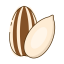 Sunflower Seed Icon, sunflower seed,snack