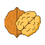 Walnut Icon, walnut,nut